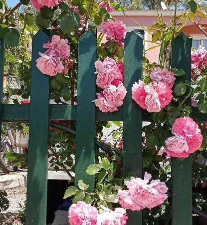 Apartamento Marina's In Village